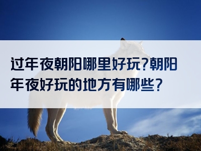 过年夜朝阳哪里好玩？朝阳年夜好玩的地方有哪些？