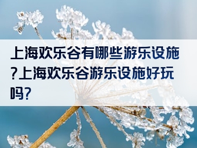 上海欢乐谷有哪些游乐设施？上海欢乐谷游乐设施好玩吗？