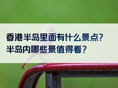 香港半岛里面有什么景点？半岛内哪些景值得看？