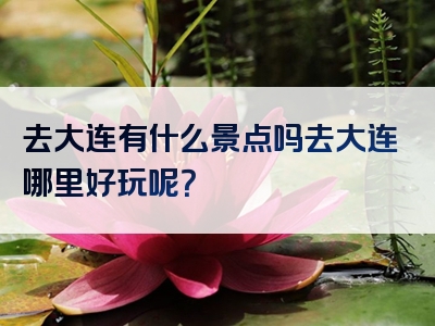 去大连有什么景点吗去大连哪里好玩呢？