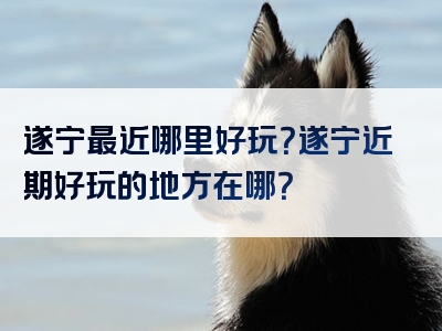 遂宁最近哪里好玩？遂宁近期好玩的地方在哪？