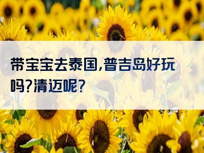 带宝宝去泰国，普吉岛好玩吗？清迈呢？