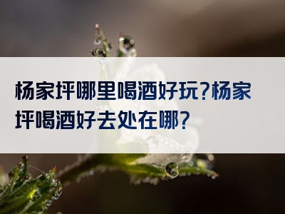 杨家坪哪里喝酒好玩？杨家坪喝酒好去处在哪？