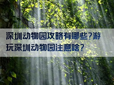 深圳动物园攻略有哪些？游玩深圳动物园注意啥？