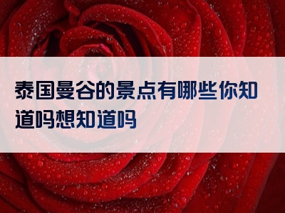 泰国曼谷的景点有哪些你知道吗想知道吗
