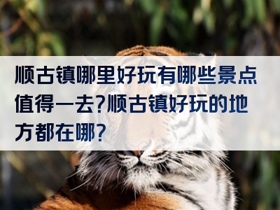 顺古镇哪里好玩有哪些景点值得一去？顺古镇好玩的地方都在哪？