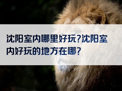 沈阳室内哪里好玩？沈阳室内好玩的地方在哪？