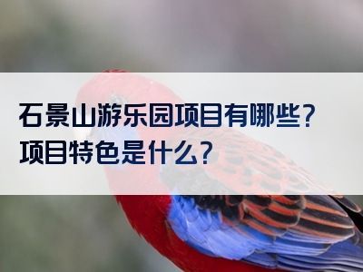 石景山游乐园项目有哪些？项目特色是什么？