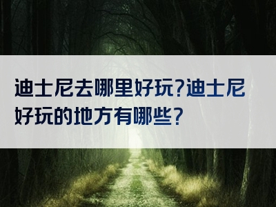 迪士尼去哪里好玩？迪士尼好玩的地方有哪些？