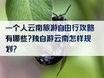 一个人云南旅游自由行攻略有哪些？独自游云南怎样规划？