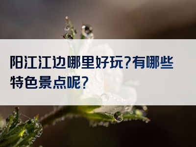 阳江江边哪里好玩？有哪些特色景点呢？