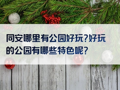 同安哪里有公园好玩？好玩的公园有哪些特色呢？