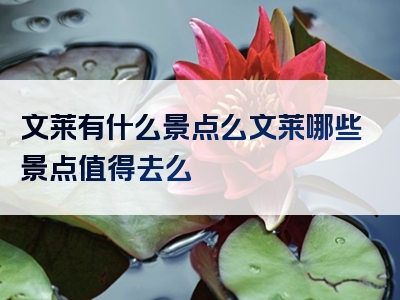 文莱有什么景点么文莱哪些景点值得去么