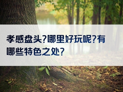 孝感盘头？哪里好玩呢？有哪些特色之处？
