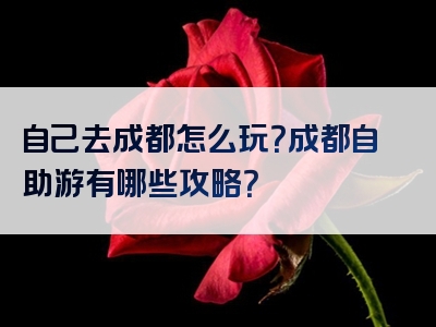 自己去成都怎么玩？成都自助游有哪些攻略？