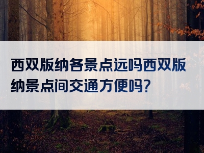 西双版纳各景点远吗西双版纳景点间交通方便吗？