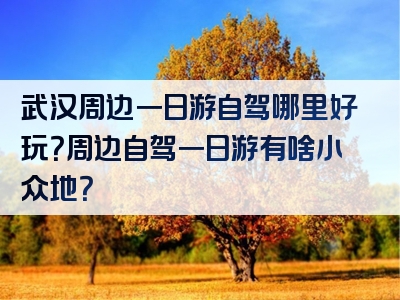 武汉周边一日游自驾哪里好玩？周边自驾一日游有啥小众地？