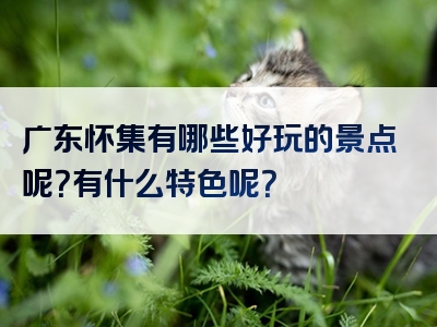 广东怀集有哪些好玩的景点呢？有什么特色呢？