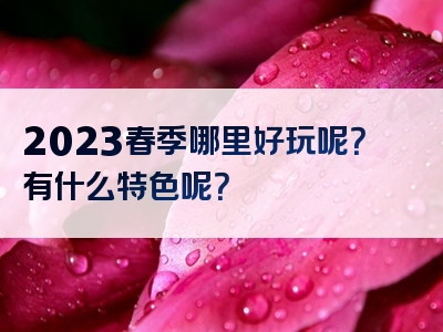 2023春季哪里好玩呢？有什么特色呢？