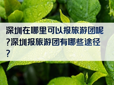 深圳在哪里可以报旅游团呢？深圳报旅游团有哪些途径？