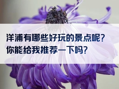 洋浦有哪些好玩的景点呢？你能给我推荐一下吗？