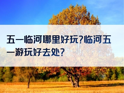 五一临河哪里好玩？临河五一游玩好去处？