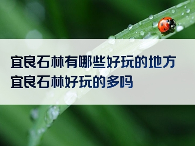 宜良石林有哪些好玩的地方宜良石林好玩的多吗