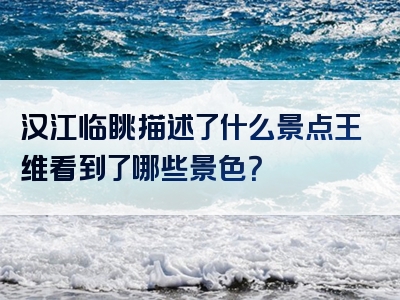 汉江临眺描述了什么景点王维看到了哪些景色？