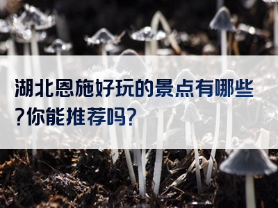 湖北恩施好玩的景点有哪些？你能推荐吗？