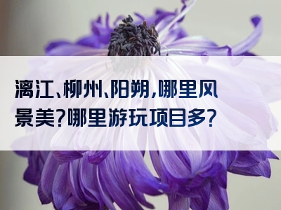 漓江、柳州、阳朔，哪里风景美？哪里游玩项目多？