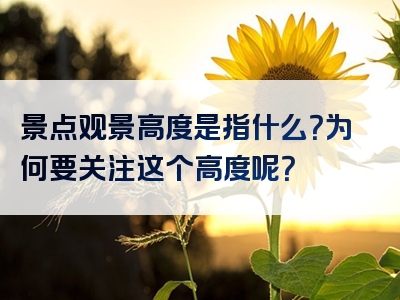 景点观景高度是指什么？为何要关注这个高度呢？