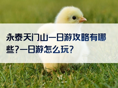 永泰天门山一日游攻略有哪些？一日游怎么玩？