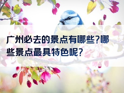广州必去的景点有哪些？哪些景点最具特色呢？