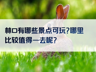 林口有哪些景点可玩？哪里比较值得一去呢？