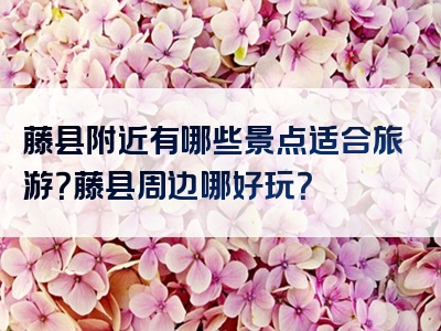 藤县附近有哪些景点适合旅游？藤县周边哪好玩？