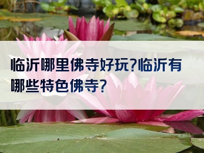 临沂哪里佛寺好玩？临沂有哪些特色佛寺？