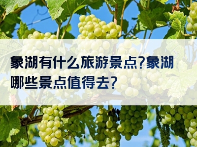 象湖有什么旅游景点？象湖哪些景点值得去？