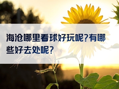 海沧哪里看球好玩呢？有哪些好去处呢？