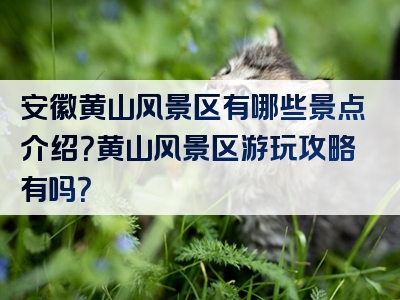 安徽黄山风景区有哪些景点介绍？黄山风景区游玩攻略有吗？