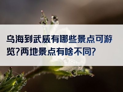 乌海到武威有哪些景点可游览？两地景点有啥不同？