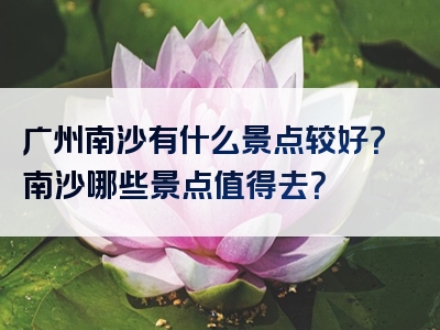 广州南沙有什么景点较好？南沙哪些景点值得去？