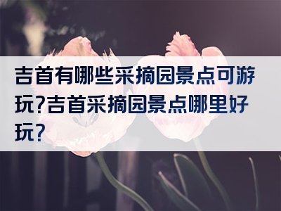 吉首有哪些采摘园景点可游玩？吉首采摘园景点哪里好玩？
