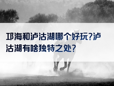 邛海和泸沽湖哪个好玩？泸沽湖有啥独特之处？