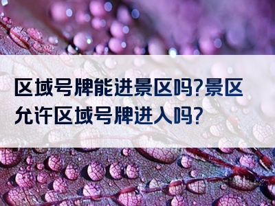 区域号牌能进景区吗？景区允许区域号牌进入吗？