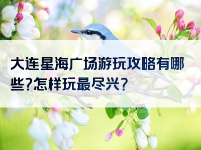 大连星海广场游玩攻略有哪些？怎样玩最尽兴？