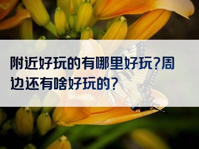 附近好玩的有哪里好玩？周边还有啥好玩的？
