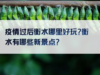 疫情过后衡水哪里好玩？衡水有哪些新景点？