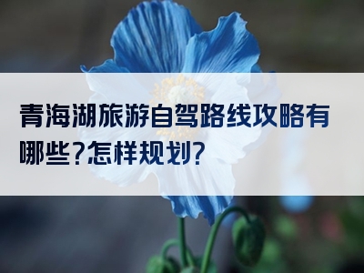 青海湖旅游自驾路线攻略有哪些？怎样规划？