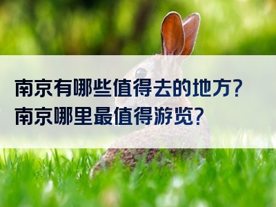 南京有哪些值得去的地方？南京哪里最值得游览？