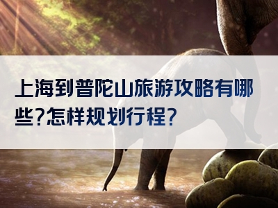 上海到普陀山旅游攻略有哪些？怎样规划行程？